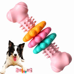 A colorful dog toy made of four interlocking textured rubber bones in pink, orange, pink, and teal, shown with a black-and-white dog lying down and the toy near its front paws on a white background.