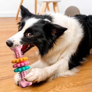 Puppy chewing an interactive dog toy that promotes healthy teeth and active play.