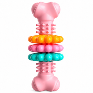 Border Collie chewing a pink interactive dog chew toy for healthy teeth and gums.